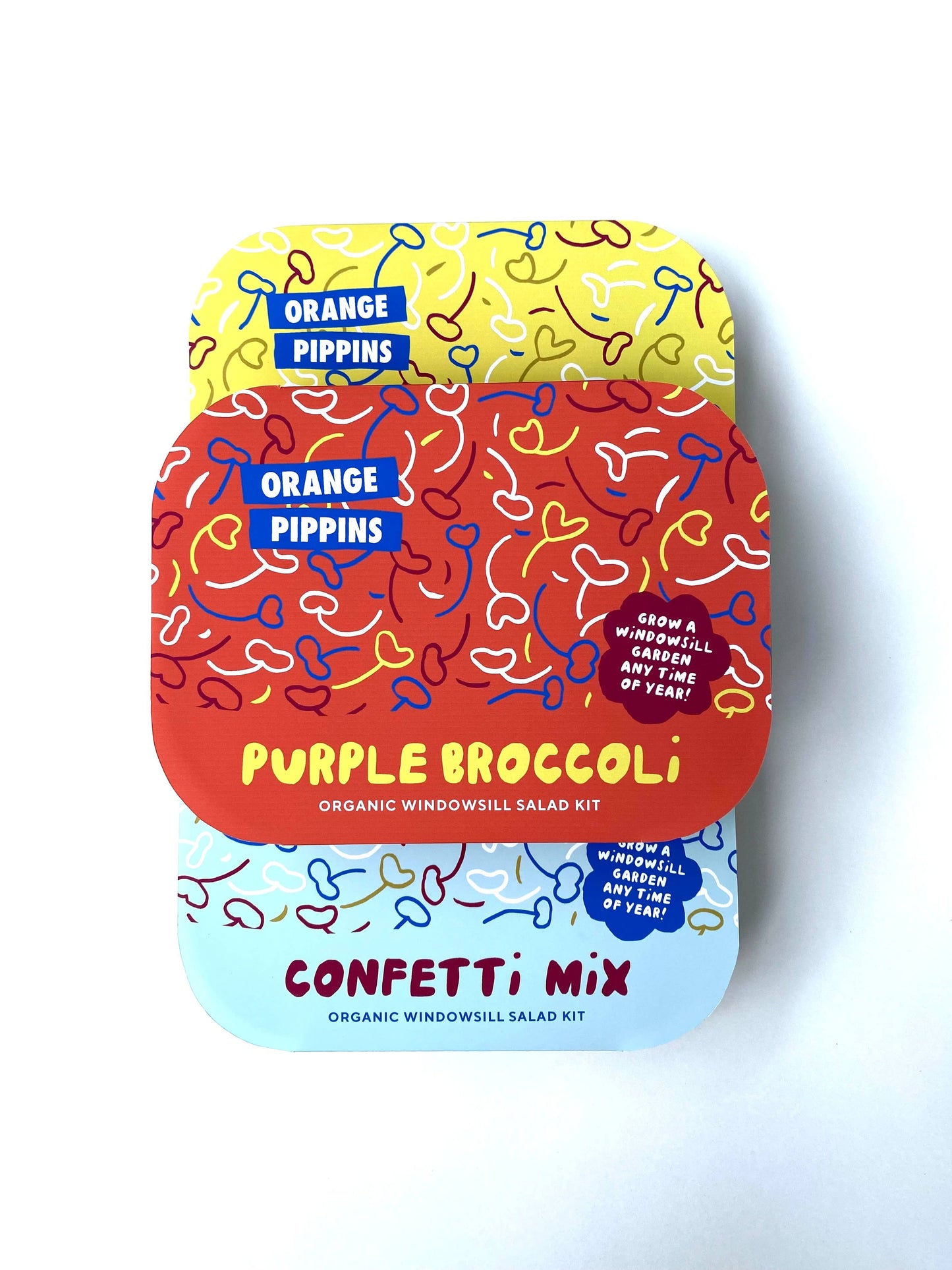 Orange Pippins - Windowsill Salad Kit: ORGANIC Purple Broccoli
