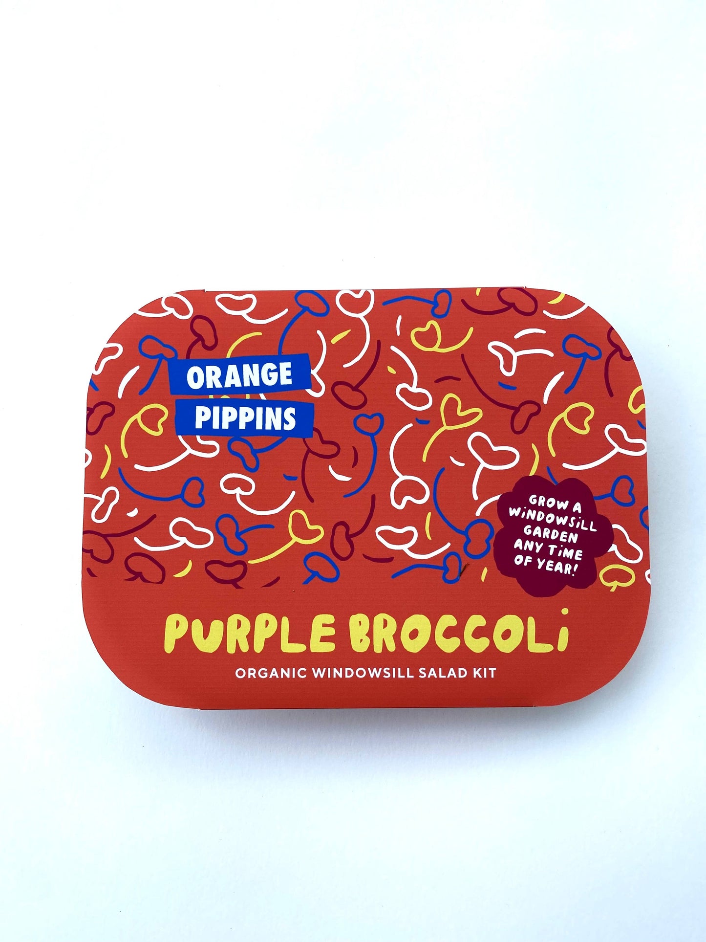 Orange Pippins - Windowsill Salad Kit: ORGANIC Purple Broccoli
