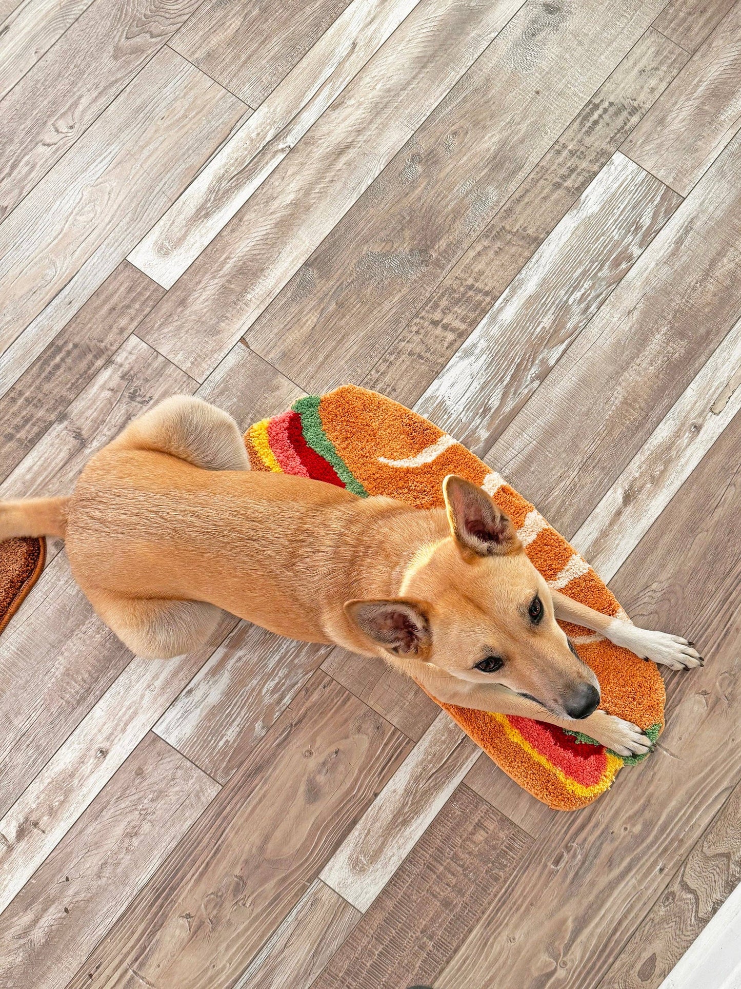 A Shop of Things - Sandwich Rug