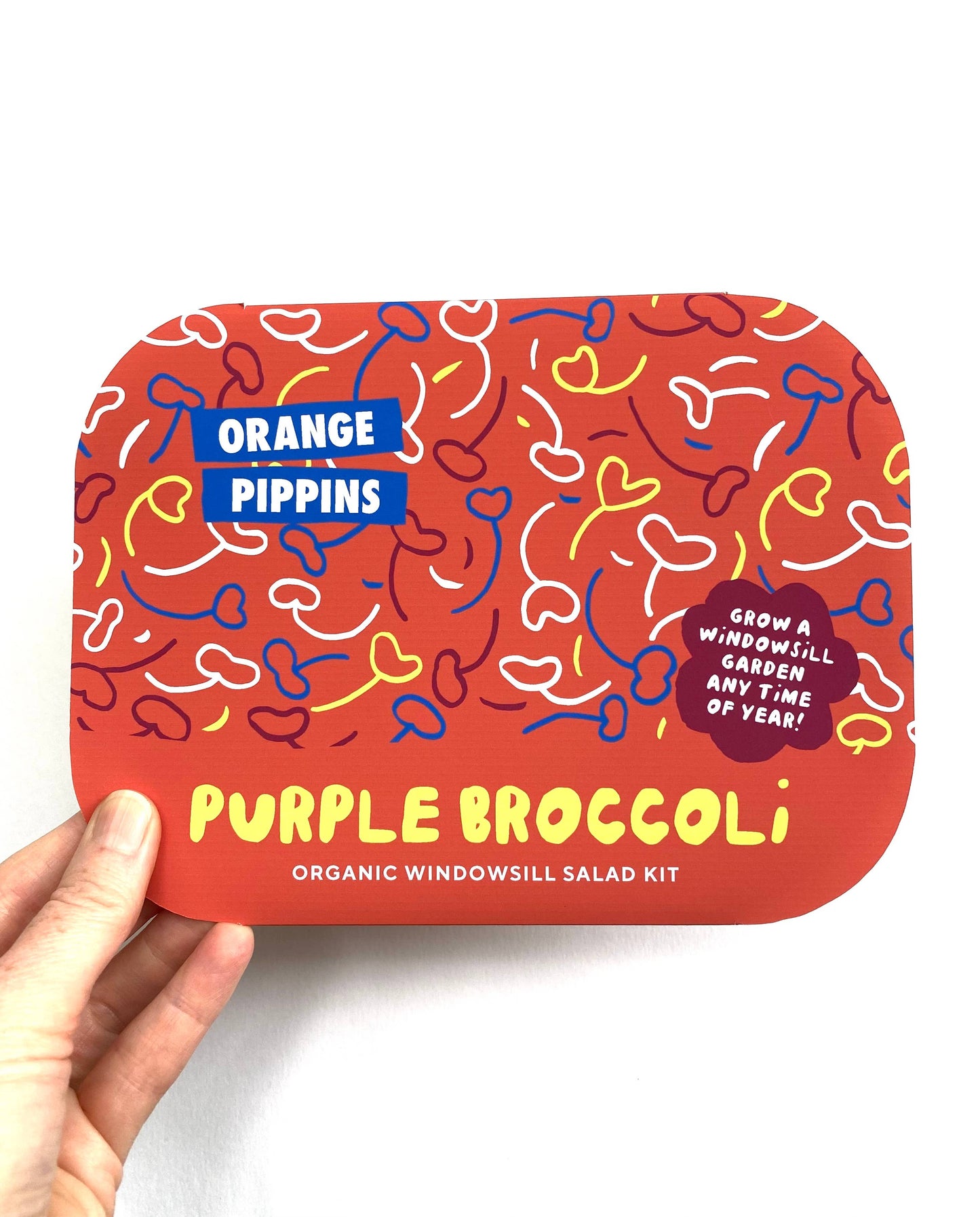 Orange Pippins - Windowsill Salad Kit: ORGANIC Purple Broccoli