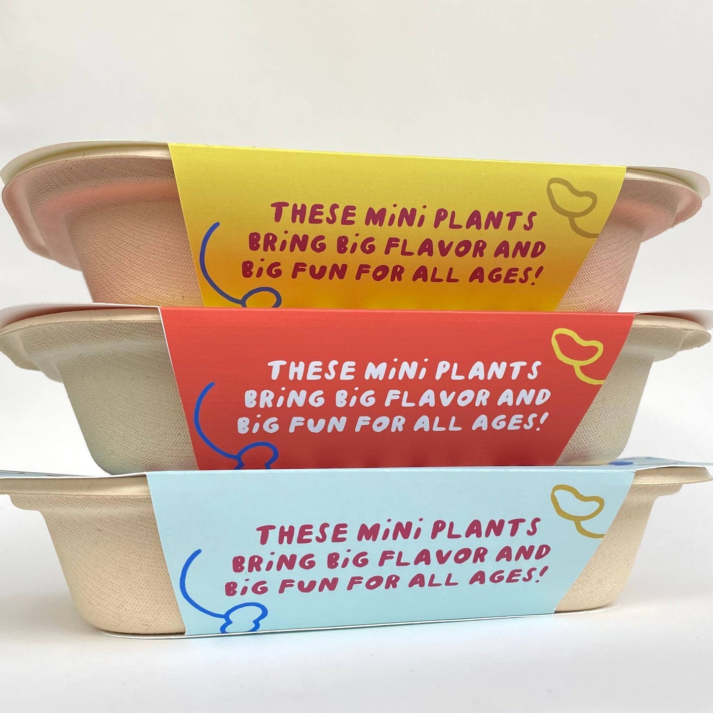 Orange Pippins - Windowsill Salad Kit: ORGANIC Confetti Salad Mix