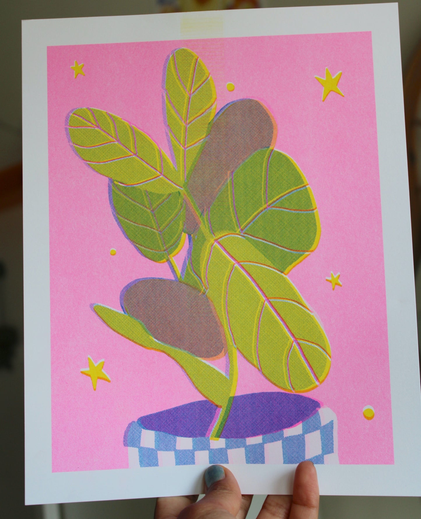 Calathea Pink Risograph