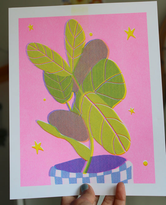 Calathea Pink Risograph